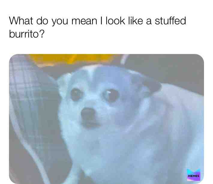 Buridoggo  #idontcare  #cursedimage