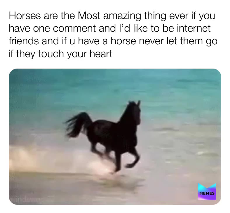 Post by crazy_horse_girl_101 Memes