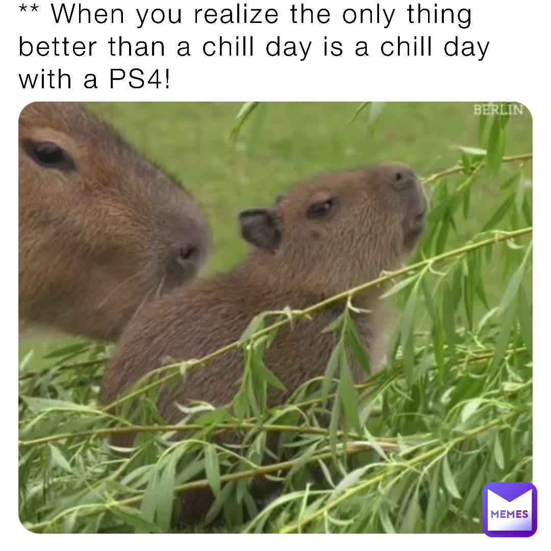 The one day