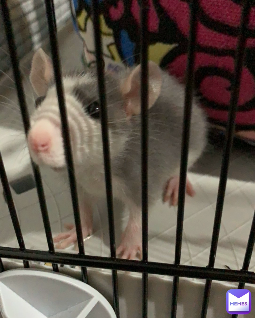 Meme by DepressedSwede