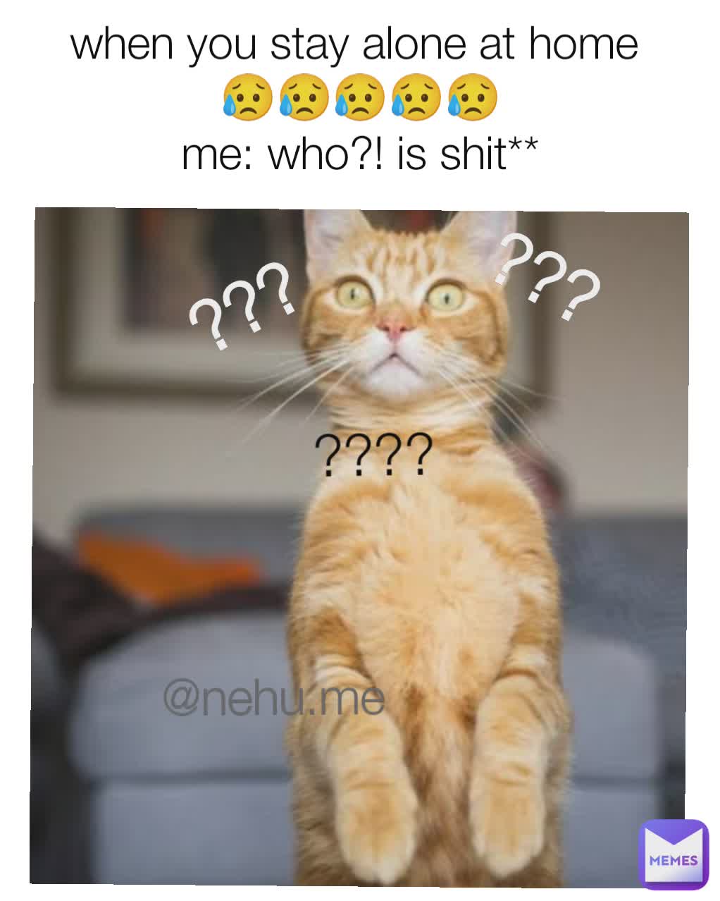 when you stay alone at home 
😥😥😥😥😥
me: who?! is shit** ???? ¿¿¿ ??? @nehu.me