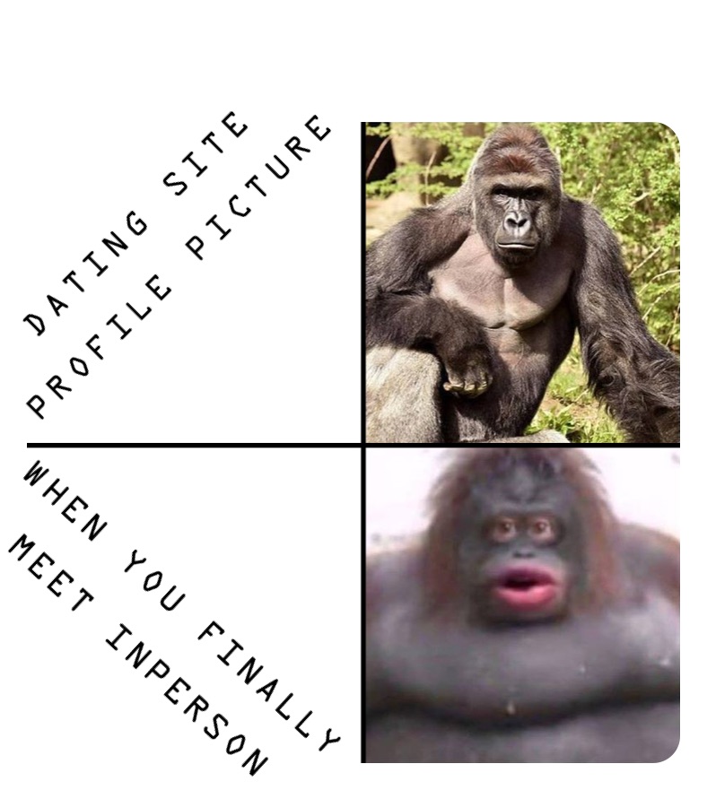 Meme by foxreacer392