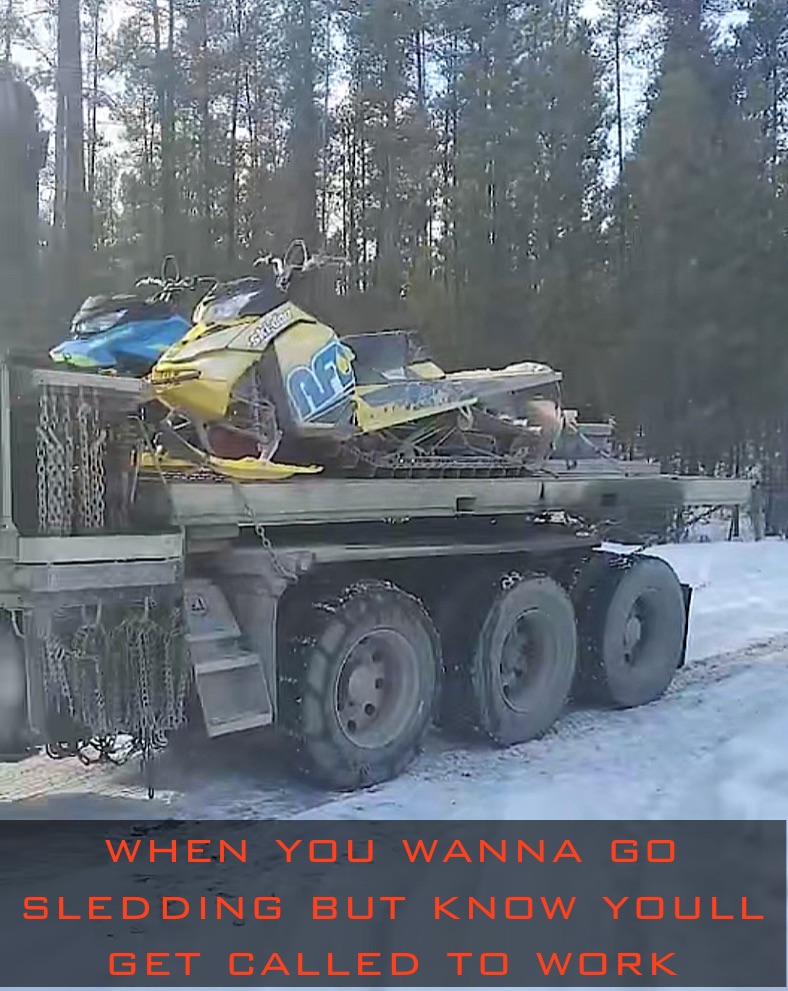 Meme by foxreacer392