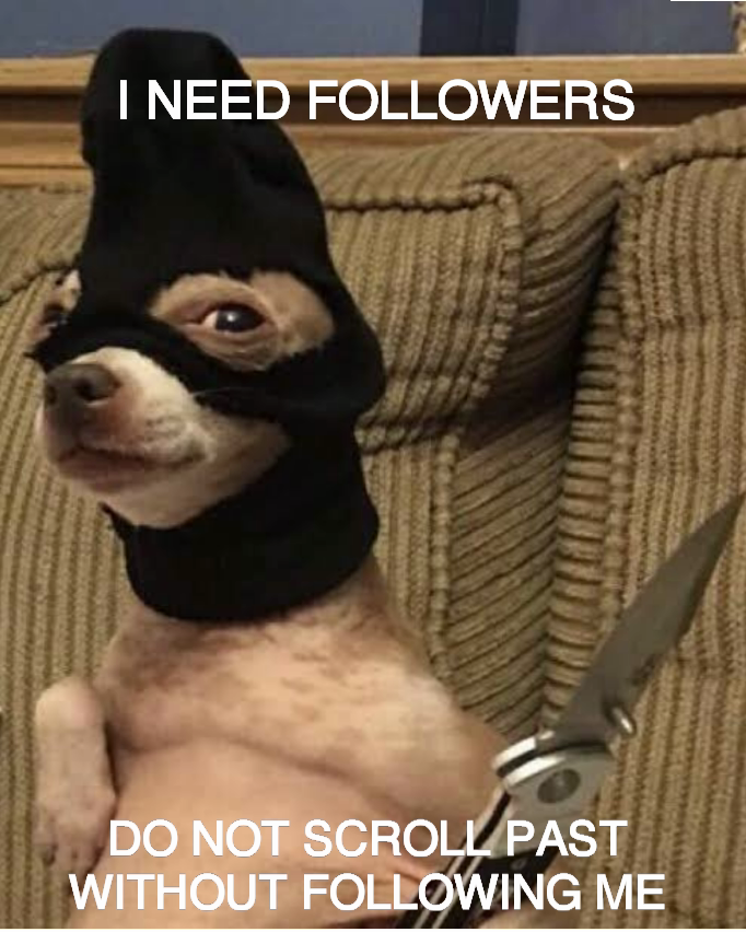 DO NOT SCROLL PAST WITHOUT FOLLOWING ME I NEED FOLLOWERS