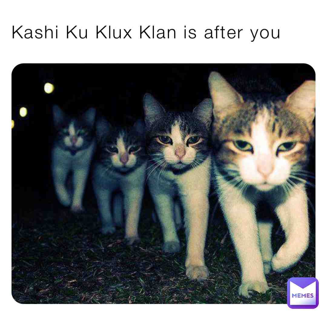 Meme shared by @jessehadaoopse