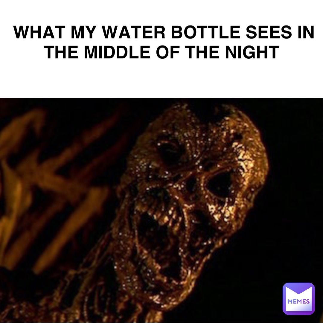What my water bottle sees in the middle of the night lotr92 Memes