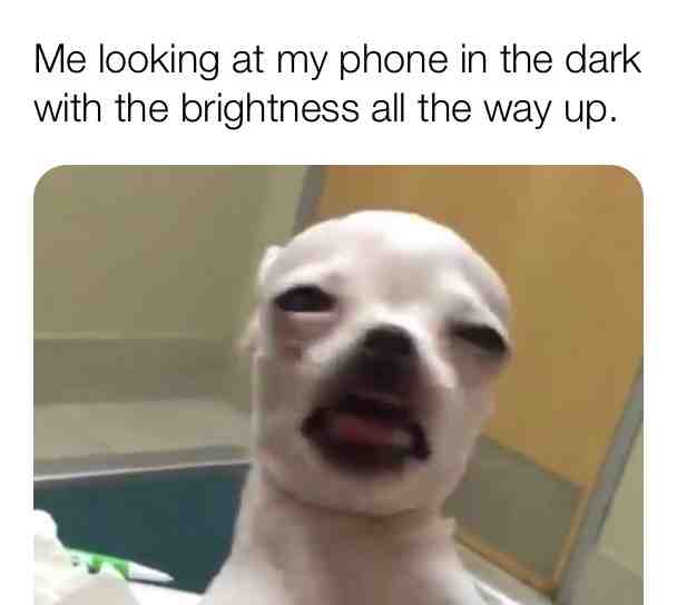 Meme shared by @ellsworthlisa100