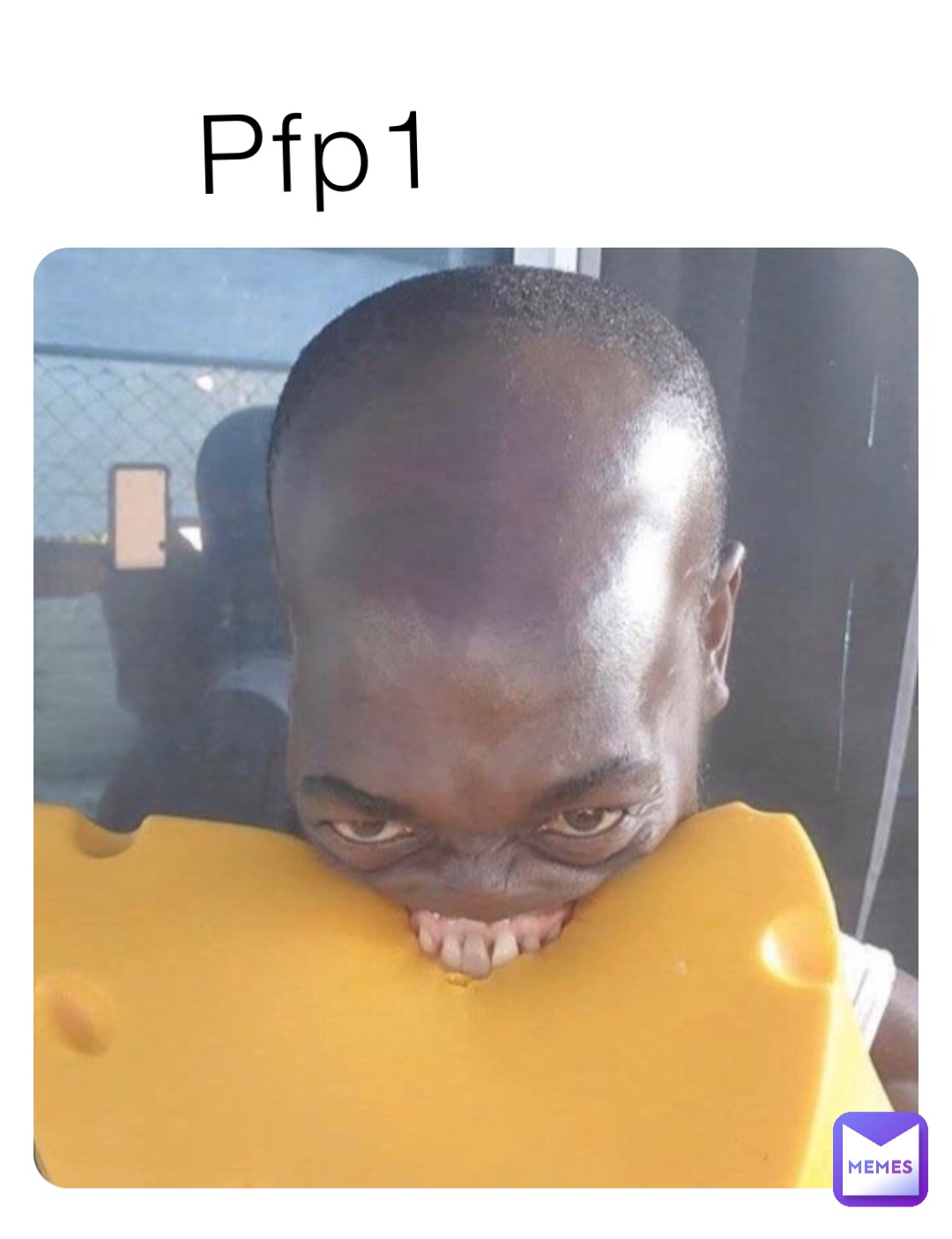 Pfp1