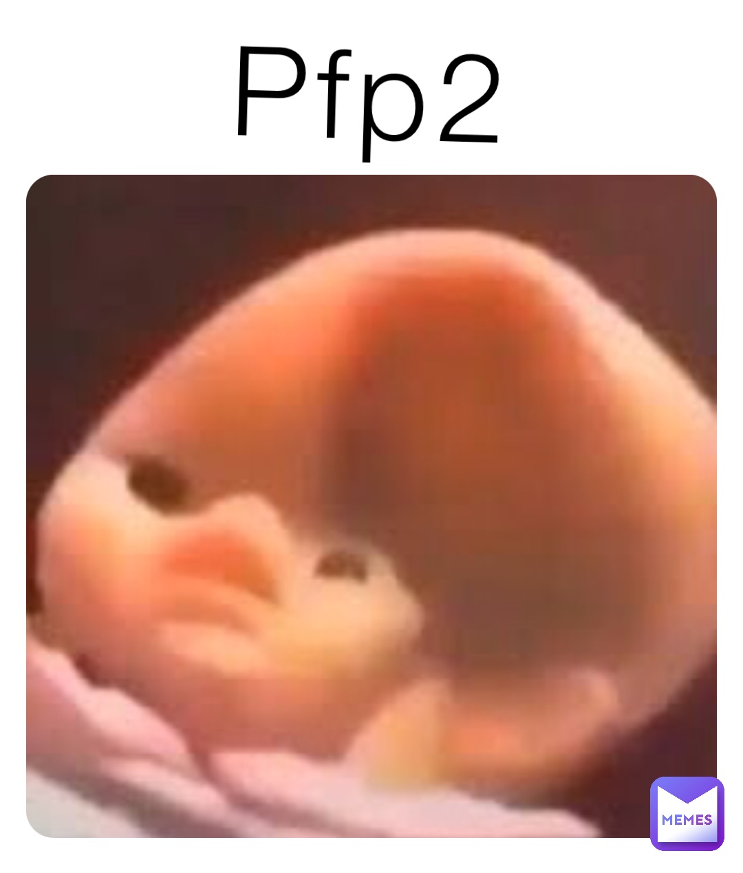 Pfp2