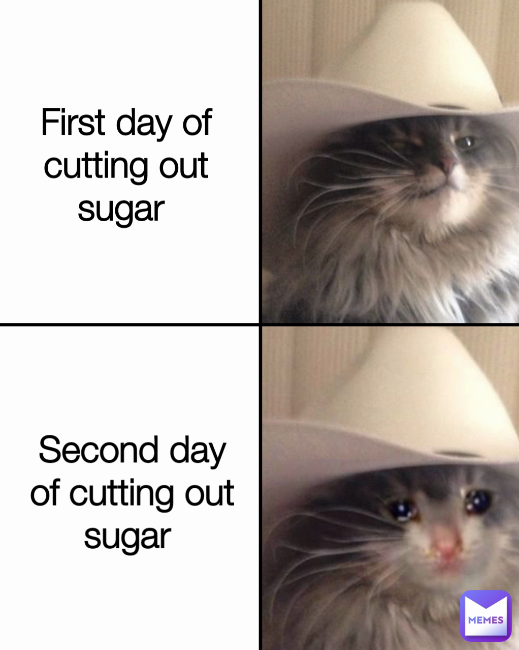 cut sugar meme