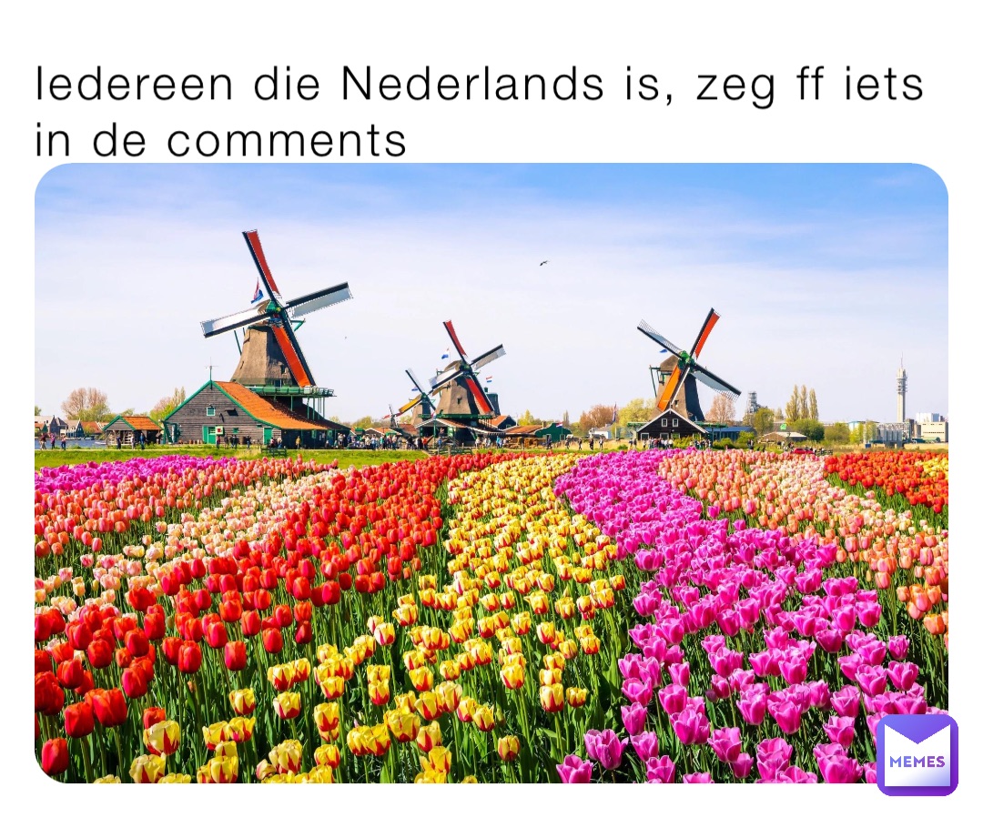 Iedereen die Nederlands is, zeg ff iets in de comments