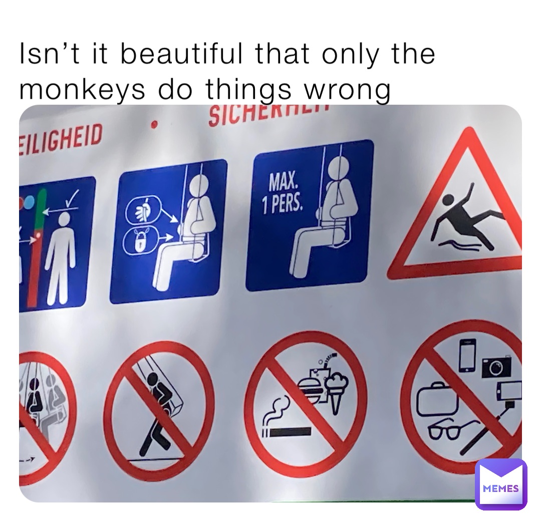 Isn’t it beautiful that only the monkeys do things wrong