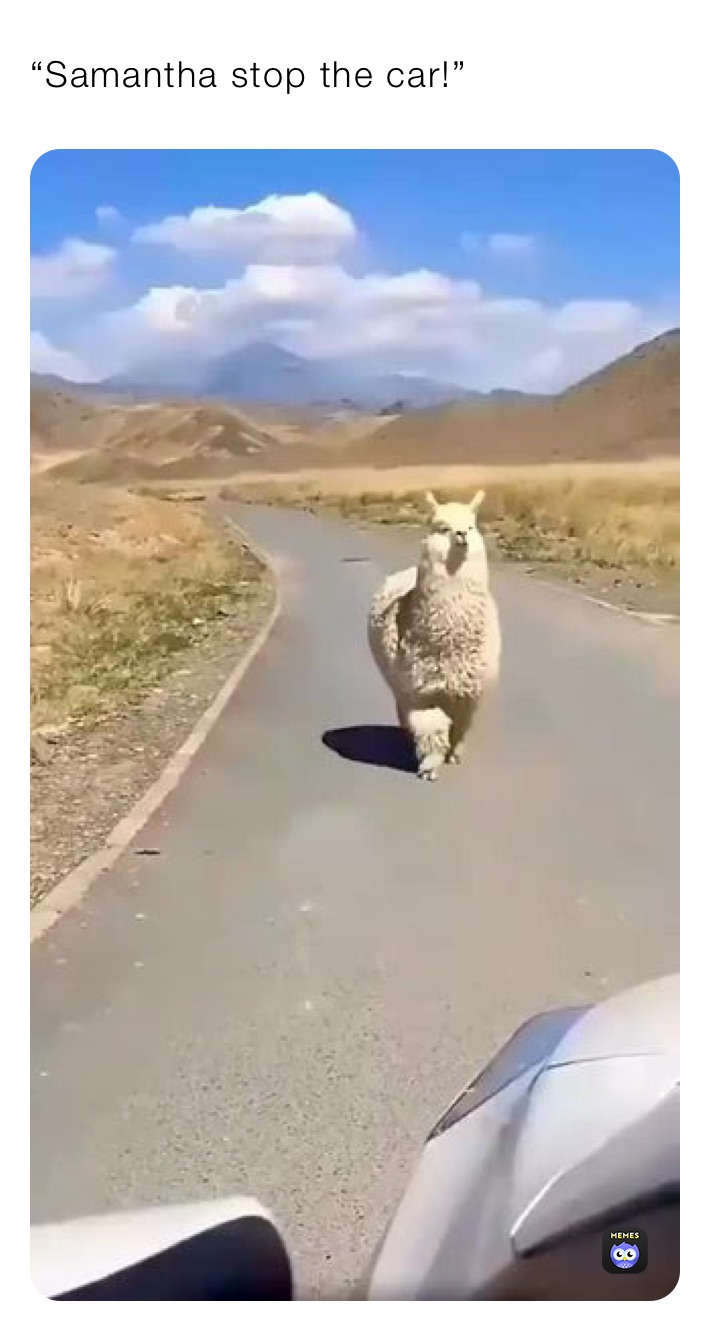 “Samantha stop the car!”