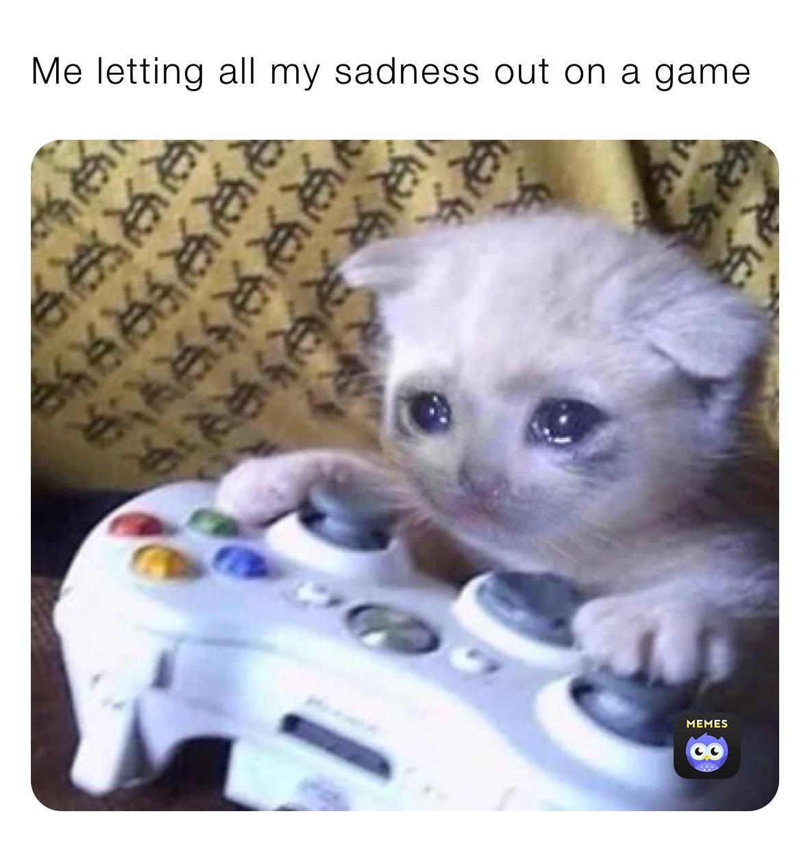 Me letting all my sadness out on a game