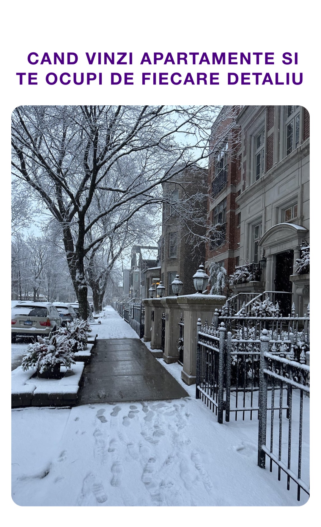 Meme by spataru_andrei