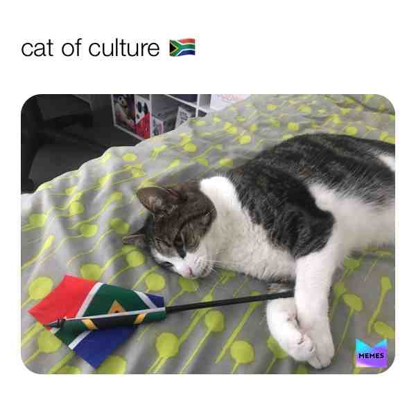 yeeyee   #cat  #animals