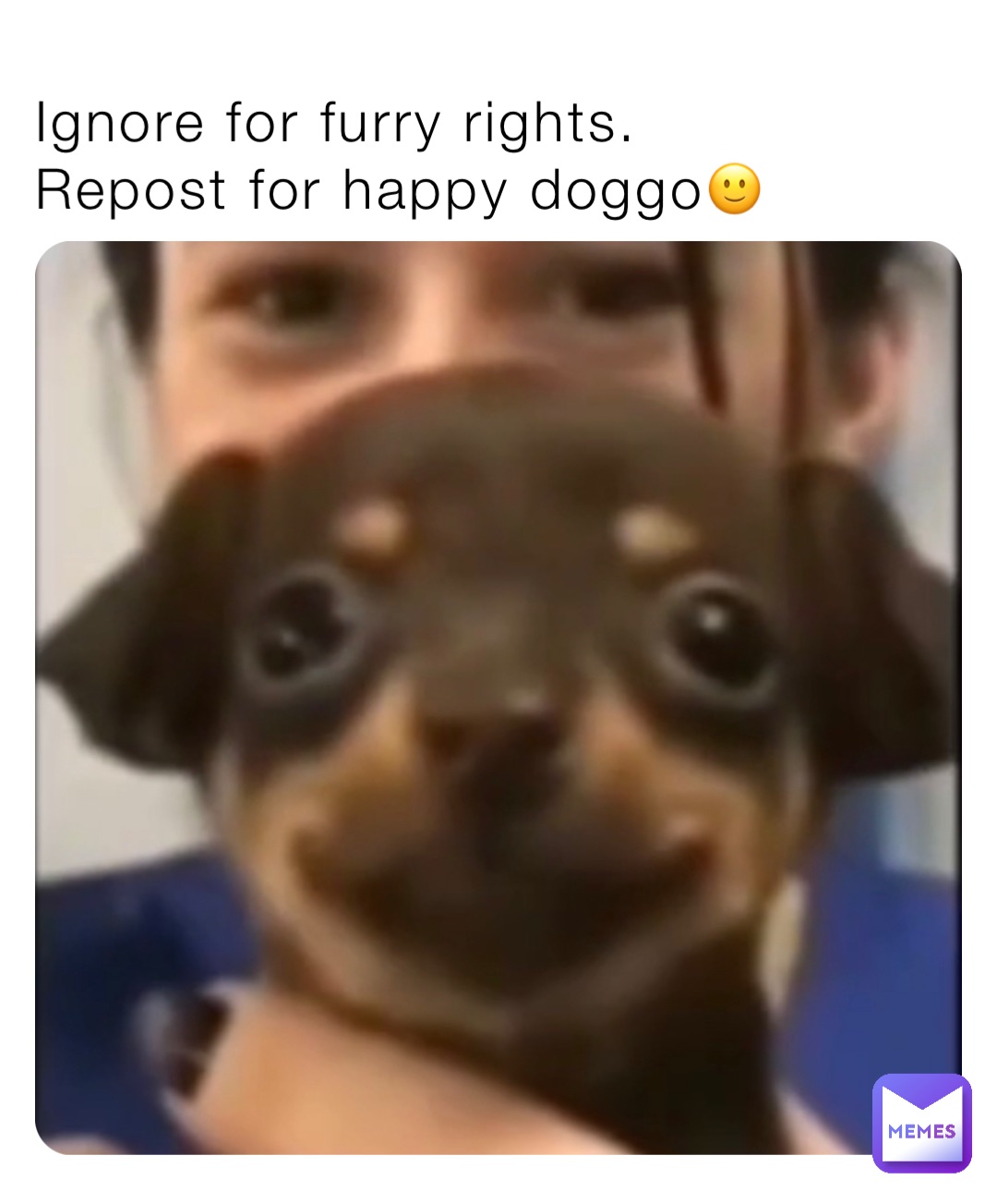 Ignore for furry rights.
Repost for happy doggo🙂