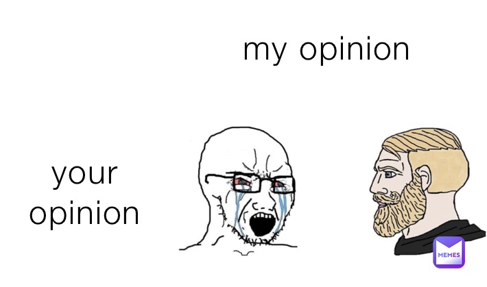                 my opinion  your opinion 