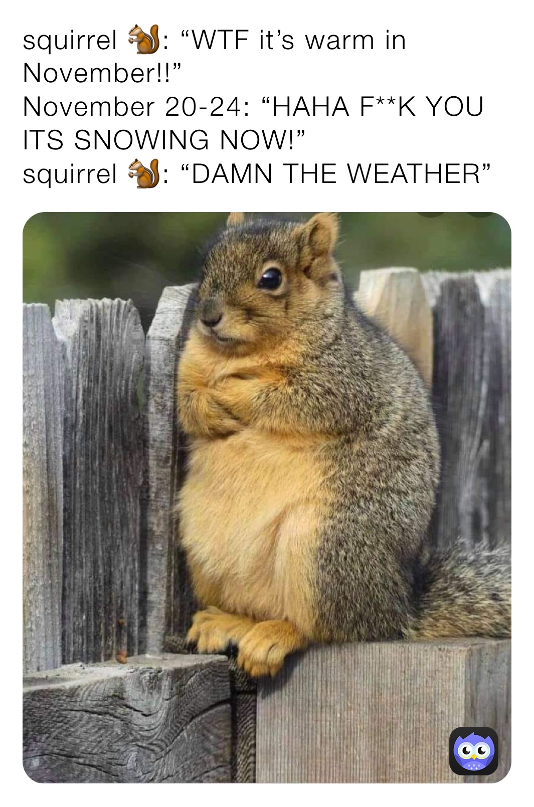 squirrel 🐿: “WTF it’s warm in November!!” 
November 20-24: “HAHA F**K YOU ITS SNOWING NOW!”
squirrel 🐿: “DAMN THE WEATHER”