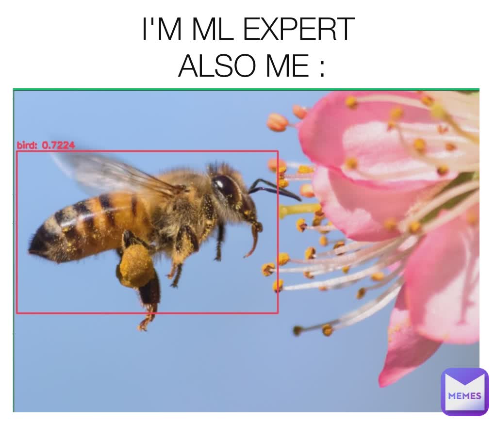 I'M ML EXPERT
 ALSO ME :