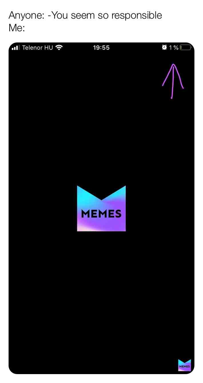 #battery #low #phone #memes #responsibility #lol