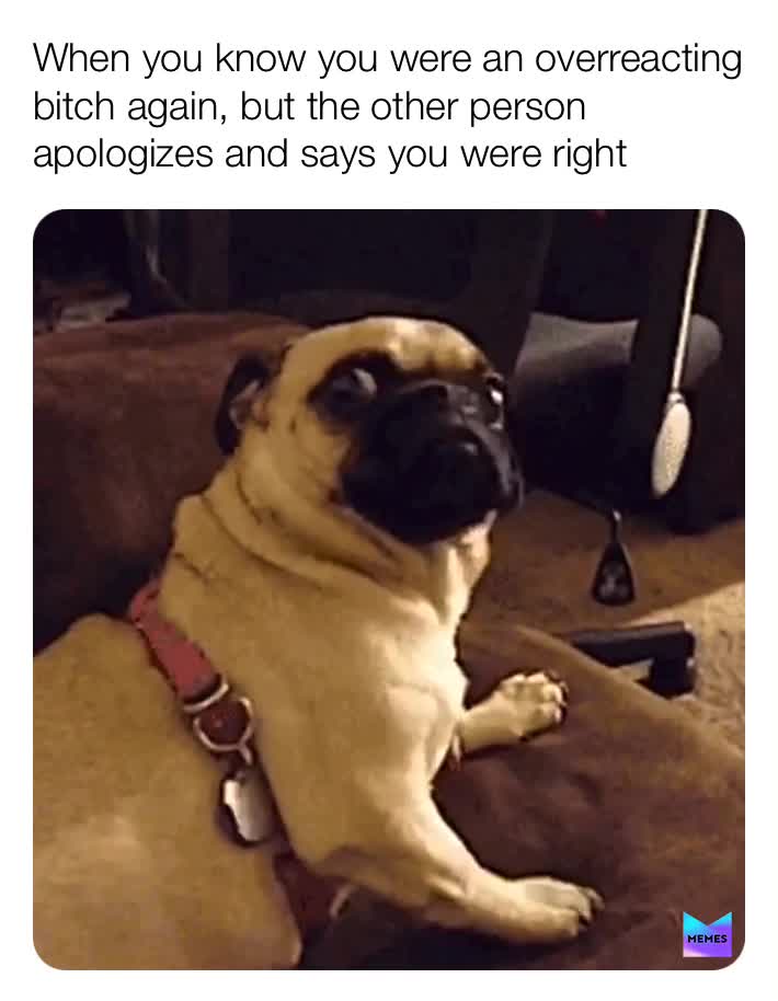 Like wtf but ook
 #confused  #overreacting  #reaction  #dog  #attitude  #funny