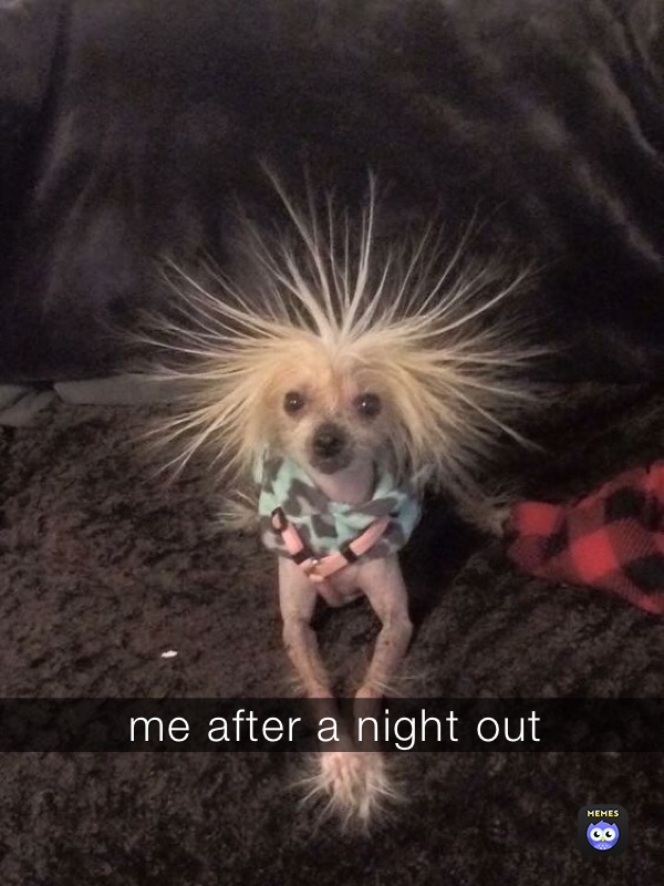 me after a night out | @yeet_to_the_street | Memes