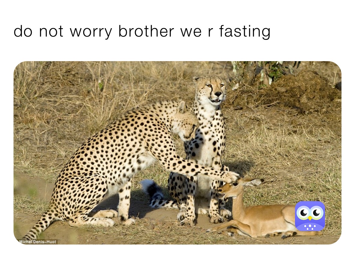 do not worry brother we r fasting 