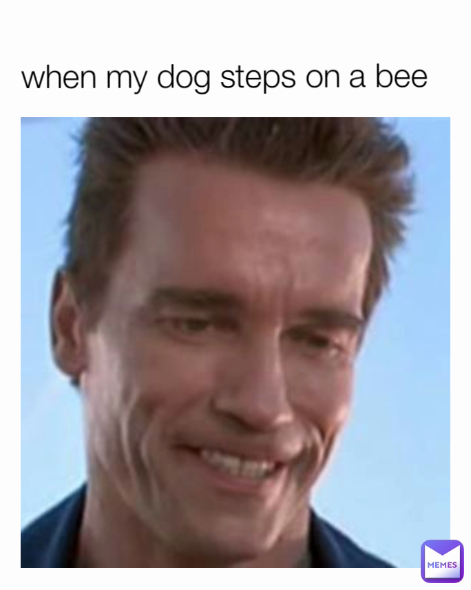 when my dog steps on a bee 