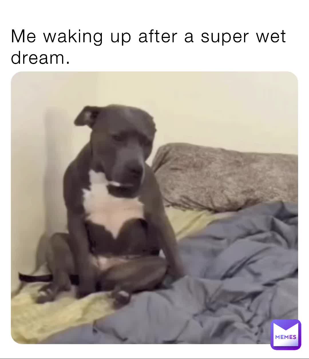 Me waking up after a super wet dream. | @parujoyid | Memes