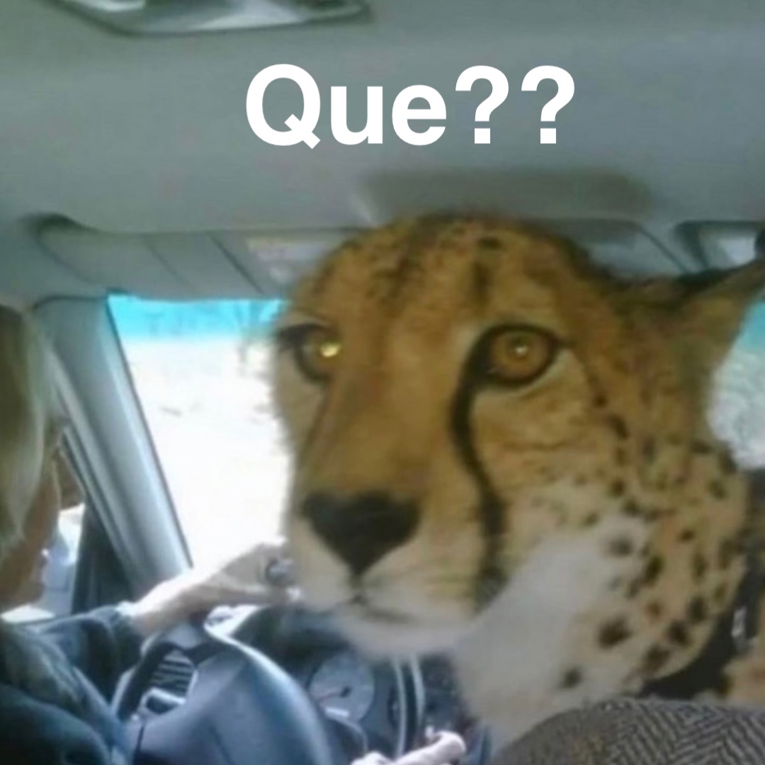 Que??