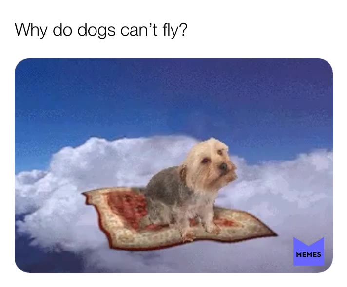 Why dogs can’t fly? #dogs