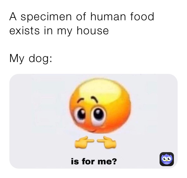 A specimen of human food exists in my house

My dog: