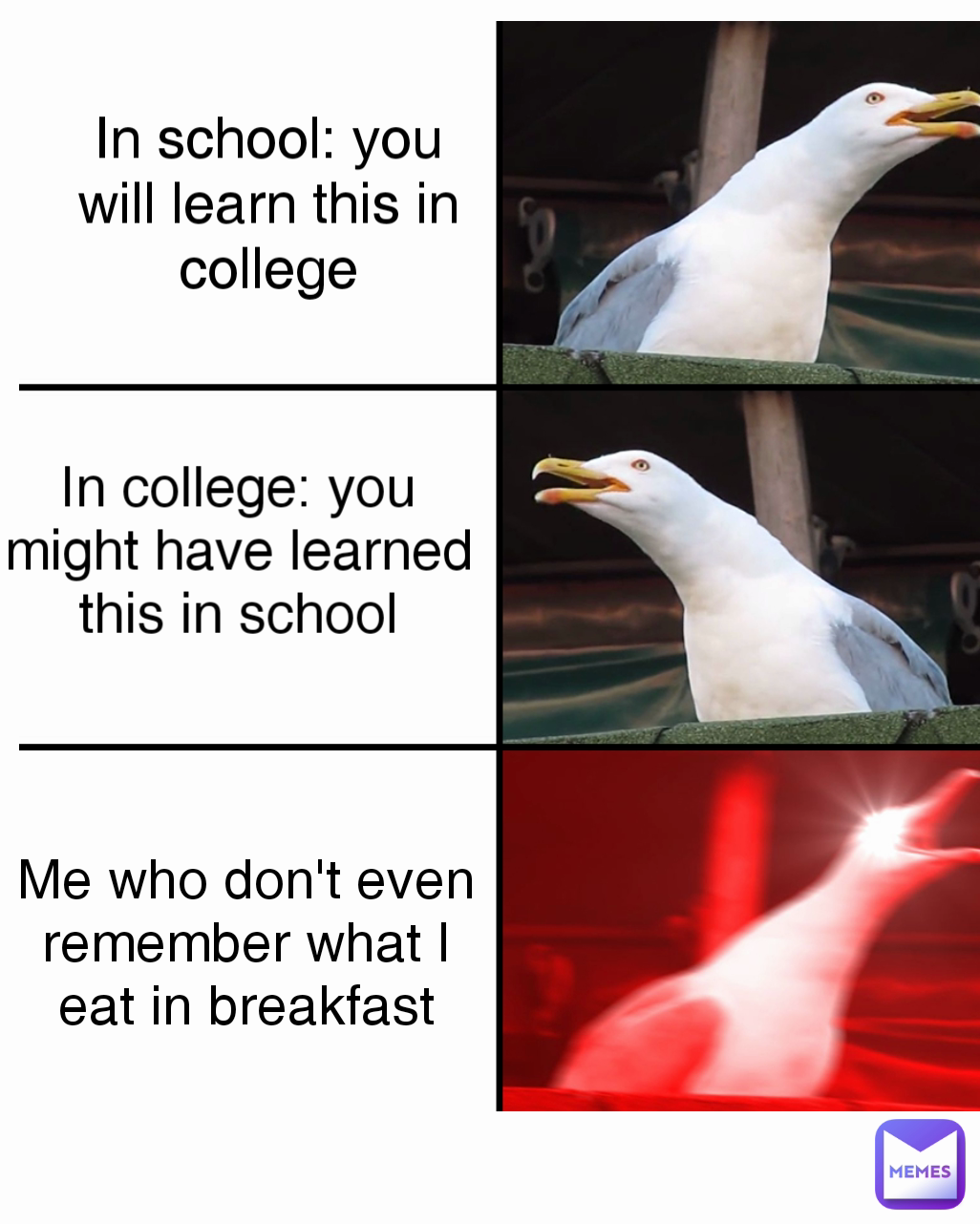 Me who don't even remember what I eat in breakfast In college: you might have learned this in school Type Text In school: you will learn this in college