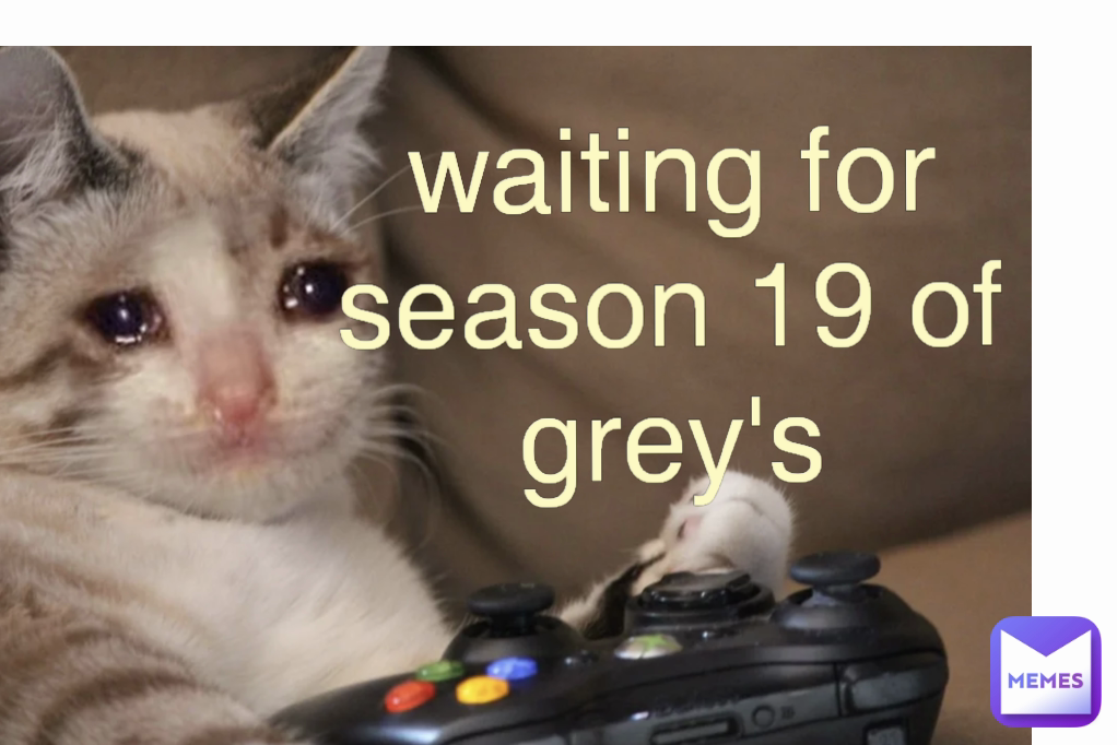 waiting for season 19 of grey's