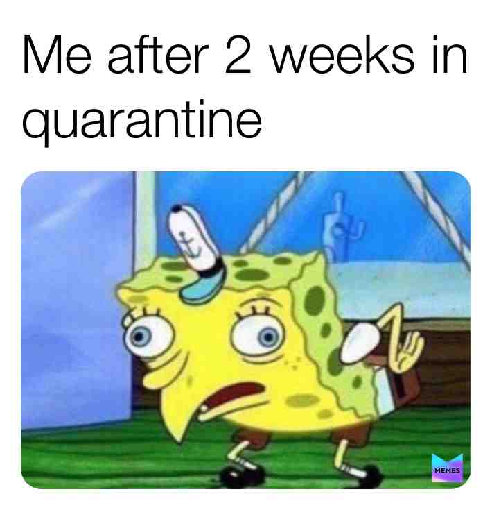 ​ #meme  #memes ​ #dankmemes ​ #dankmeme ​ #dank_memes ​ #dank_meme ​ #funny ​ #2020memes ​ #coronavirusmemes ​ #spongbob ​ #spongbobmemes ​ #spongebobmeme ​ #spongebob_memes ​ #spongebob_meme ​ #covid19memes ​ #covid19meme ​ #coronavirusmeme ​ #coronavirus_meme ​ #coronavirus_memes ​ #covid19_meme ​ #covid19_memes