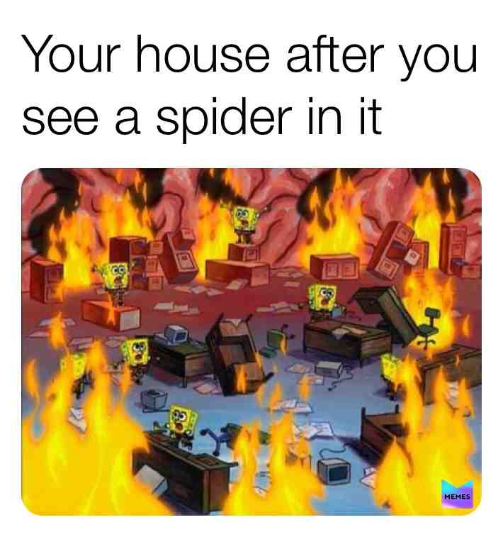  #meme #memes #dankmemes #dankmeme #dank_memes #dank_meme #funny #2020memes #spongbob #spongbobmemes #spongebobmeme #spongebob_memes #spongebob_meme