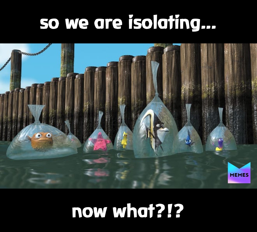 Post by snake_charmer Memes