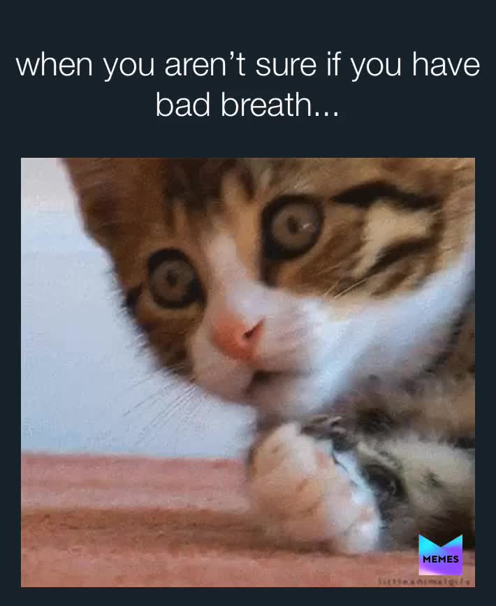 Post by snake_charmer Memes