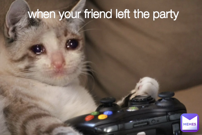 when your friend left the party