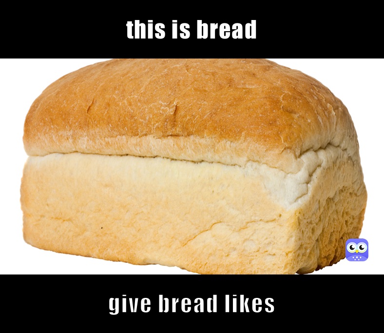 this is bread give bread likes