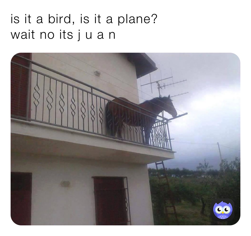 is it a bird, is it a plane?
wait no its j u a n