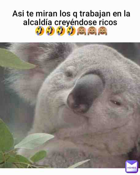 Meme shared by @elwilly