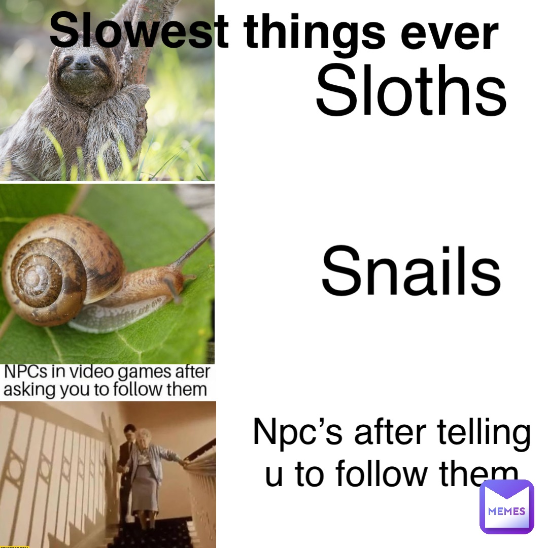 Sloths Slowest things ever Snails NPC’s after telling u to follow them