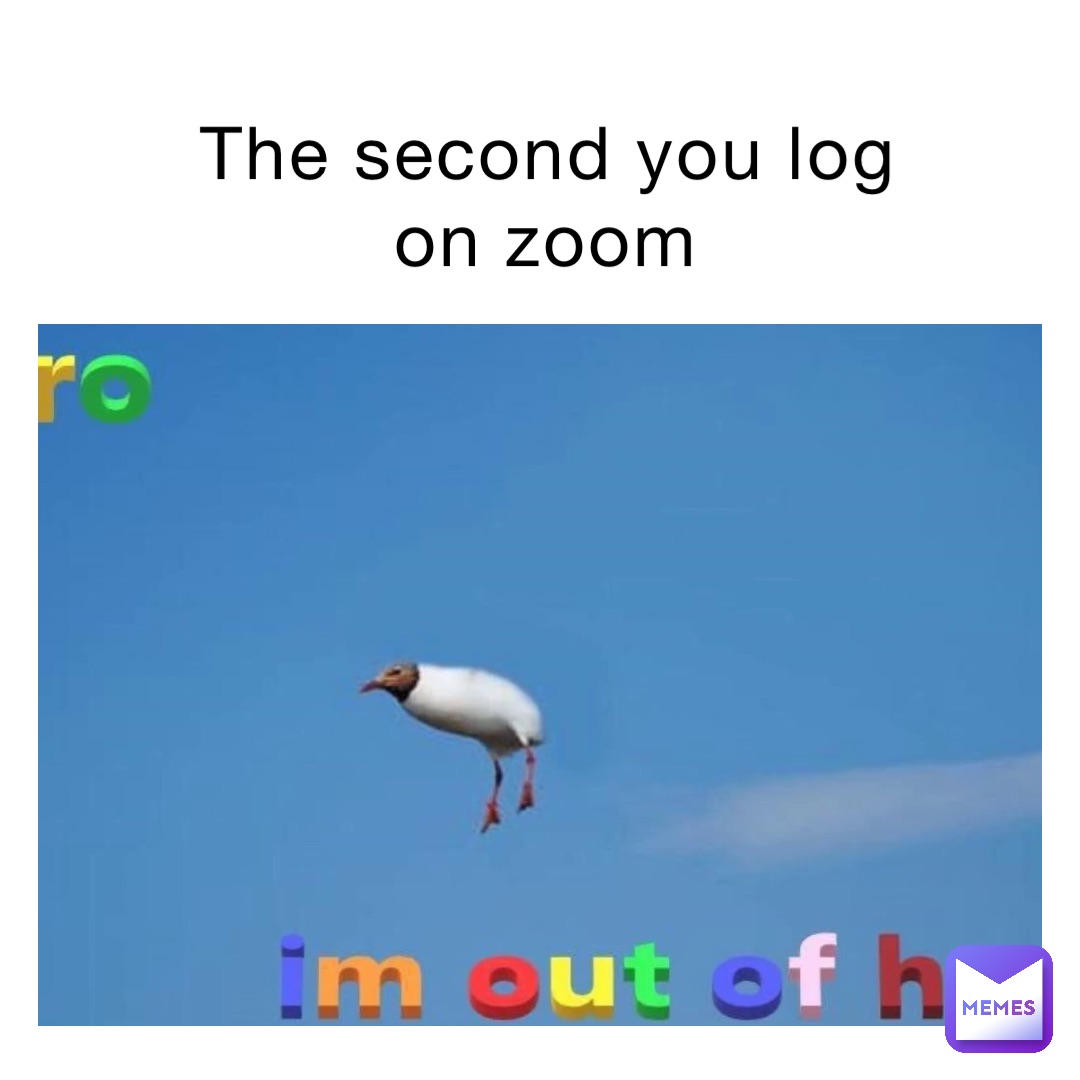 The second you log on zoom