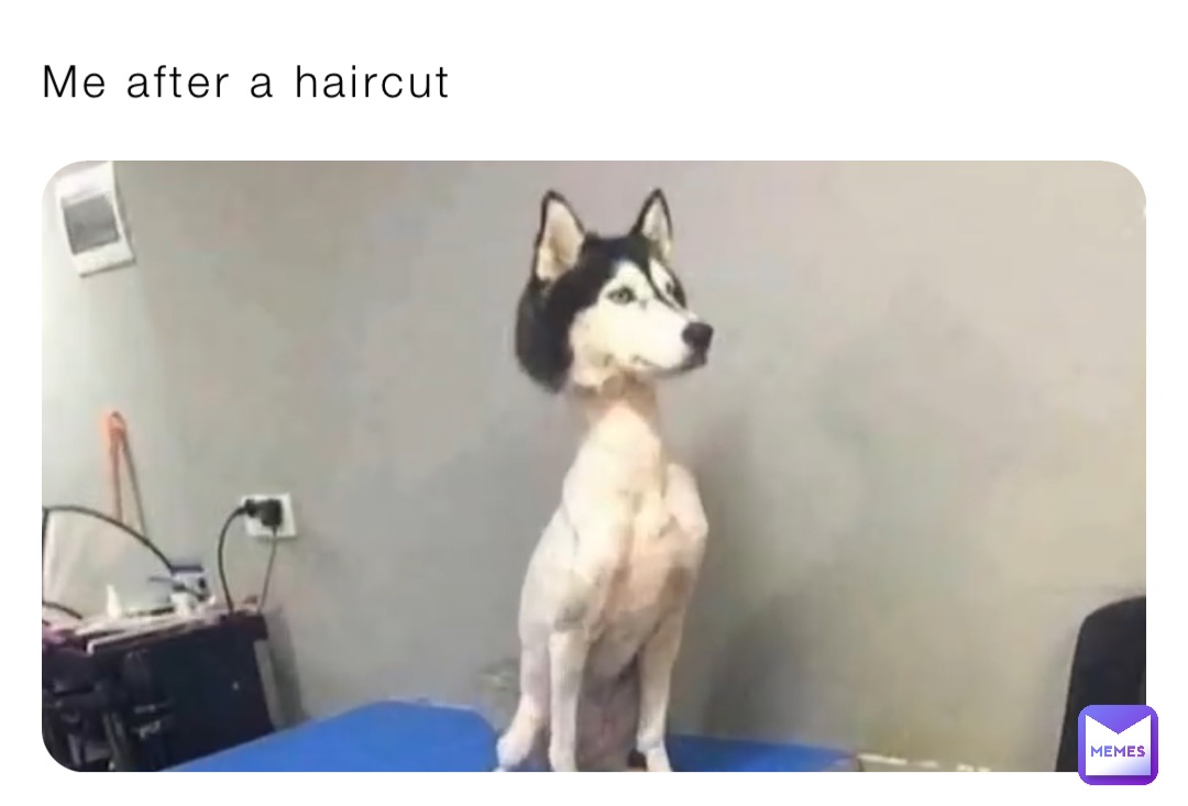 Me after a haircut
