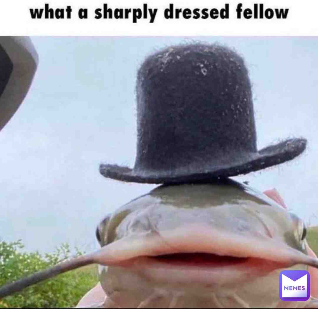 Meme shared by @itsfox