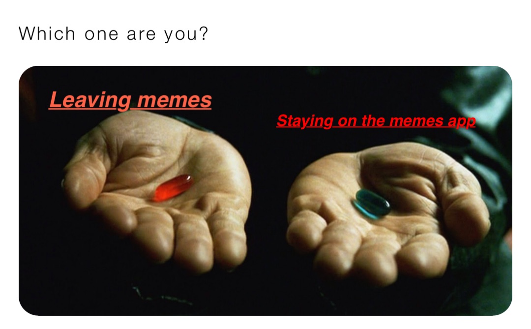 Which one are you? Leaving memes Staying on the memes app