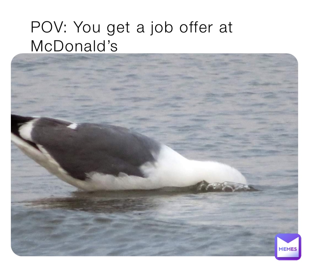 POV: You get a job offer at McDonald’s