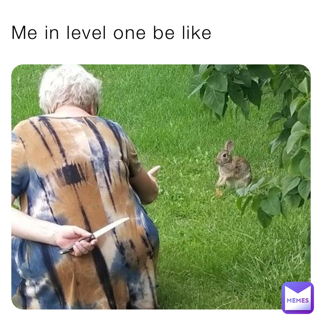 Me in level one be like
